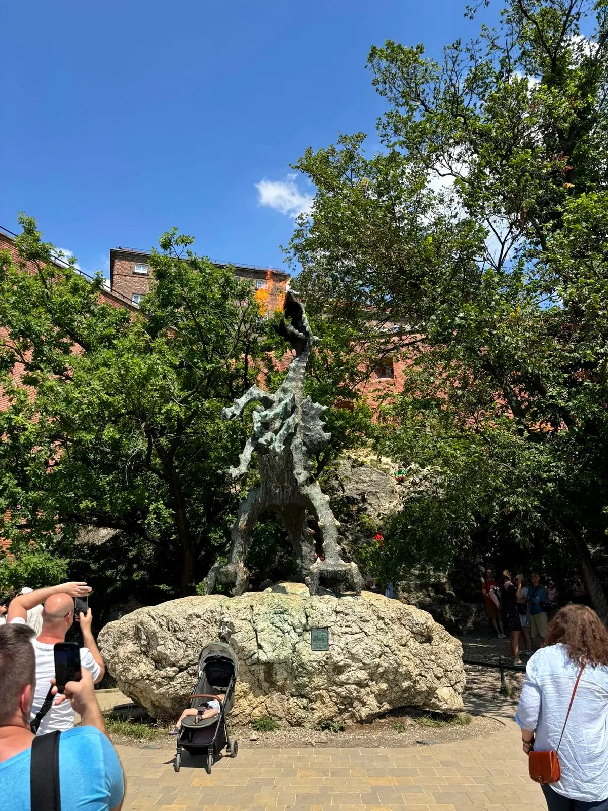 Draak van Krakau